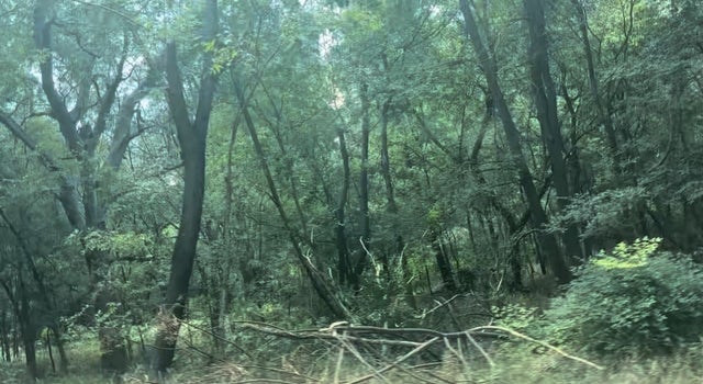 No Address Imperial Drive, Austin