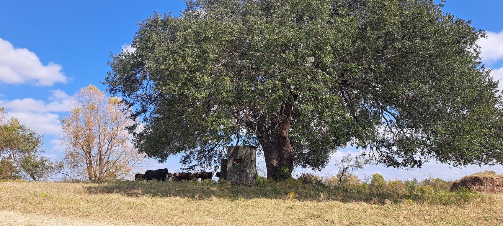 Photo of Listing #8629274