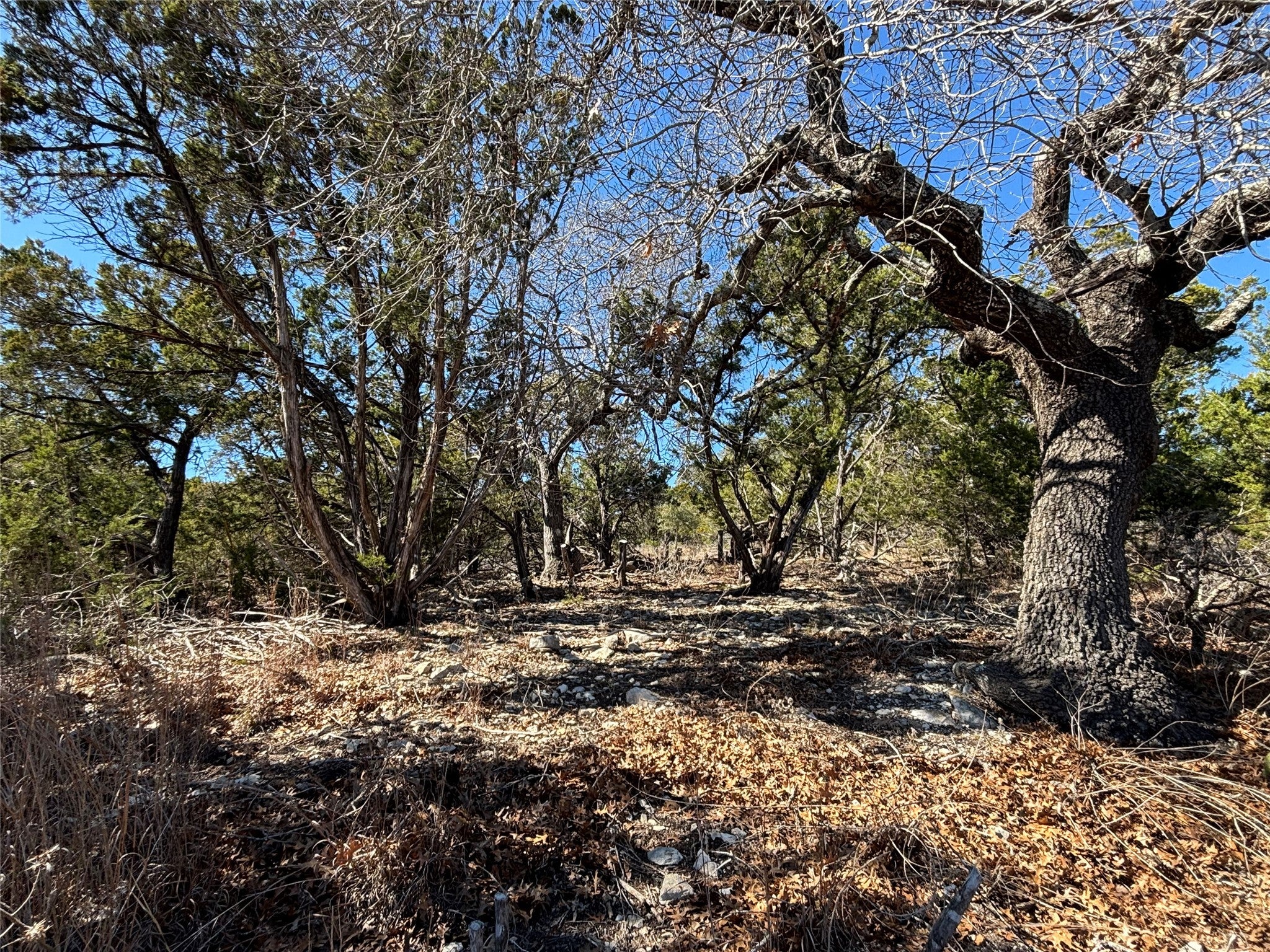 Photo of Listing #6298542