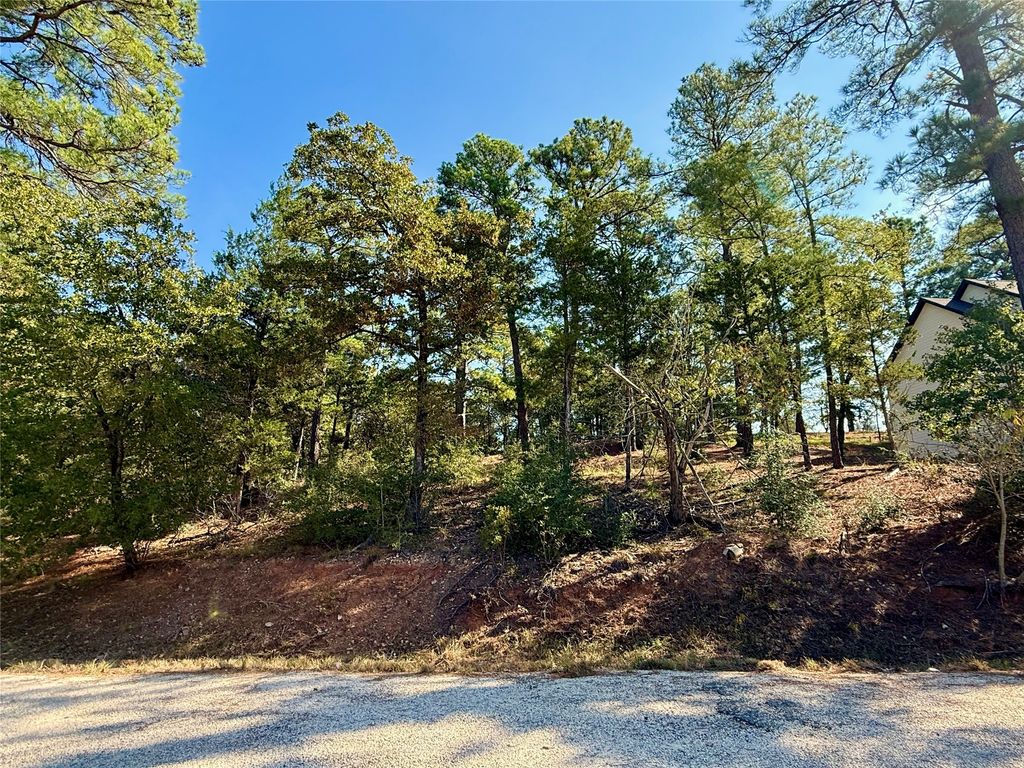 109 And 115 Olomana Court, Bastrop