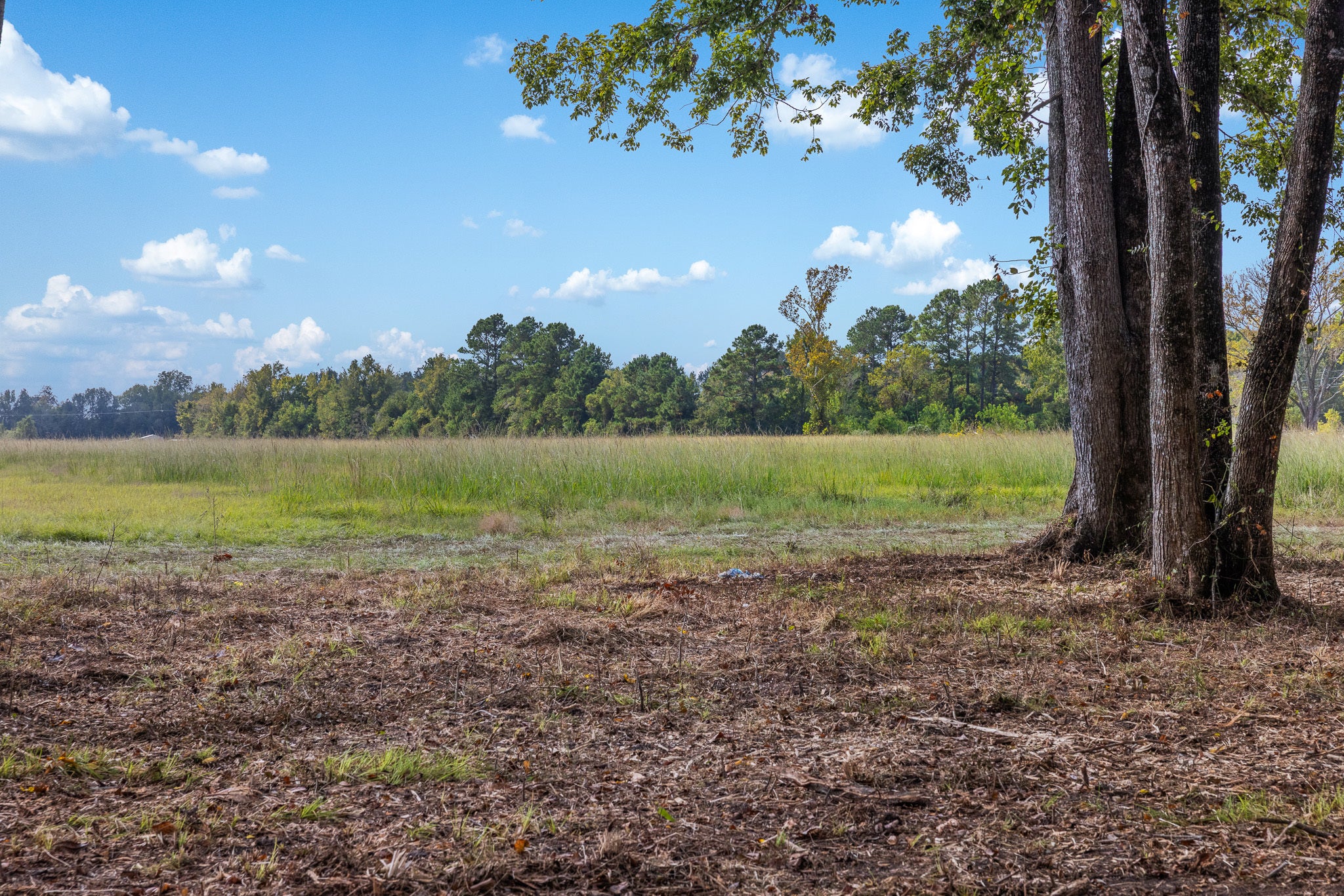 Photo of Listing #6987221