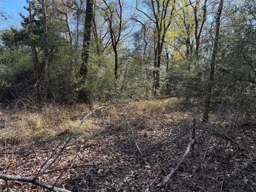 128 County Road 301 Tract 7, Fairfield