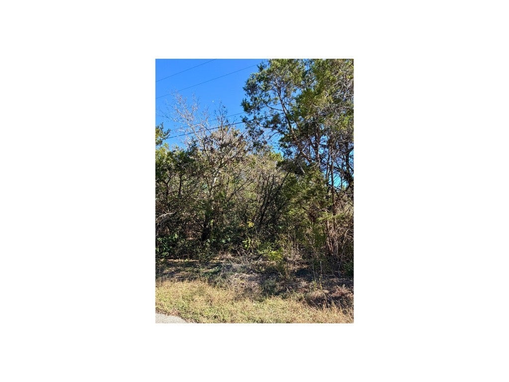 7401 Williamson Creek Drive 2, Austin