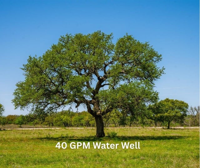 Springwood Ranch, Johnson City