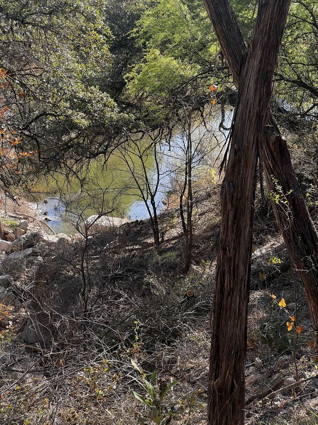 Land / Farm Real Estate for Sale at 26809 Blue Cove Road Blue Cove Rd on Lake Travis - MLS #8121344