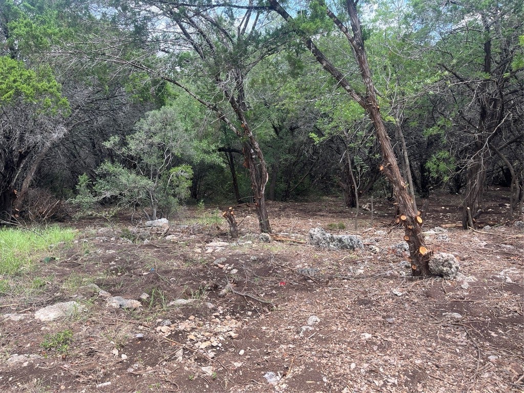 7413 Spanish Oak Drive, Lago Vista