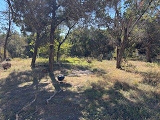 10411 Thomaswood Lane, Austin