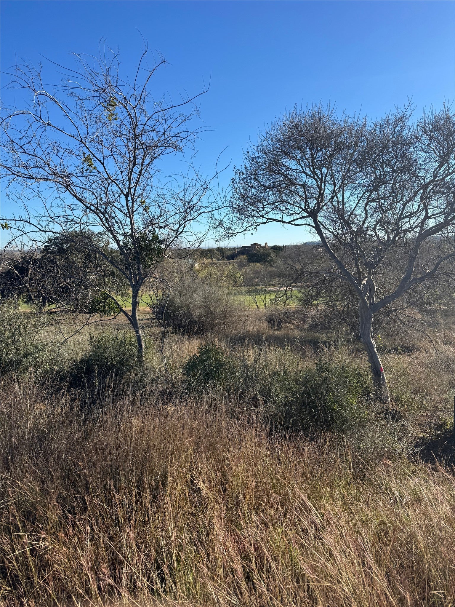 Photo of Listing #9717063