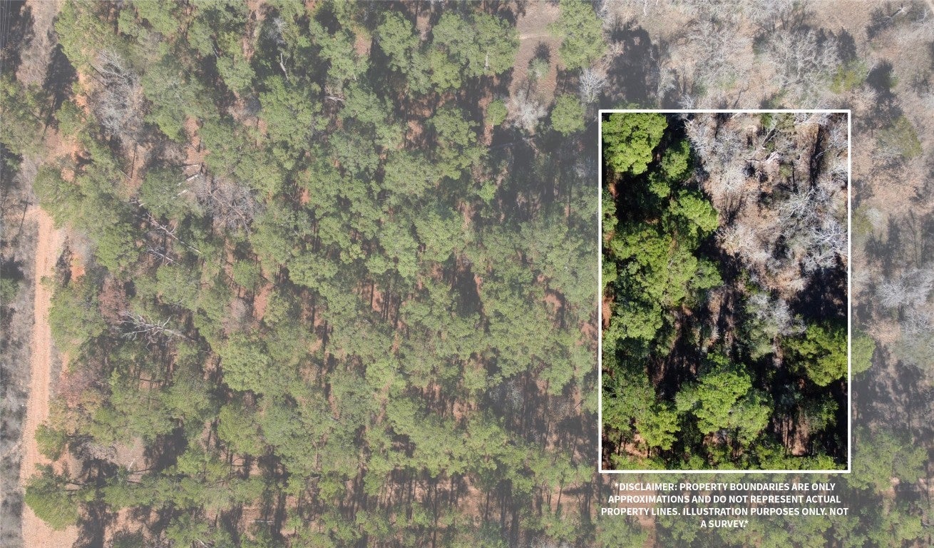 Photo of Listing #4298513