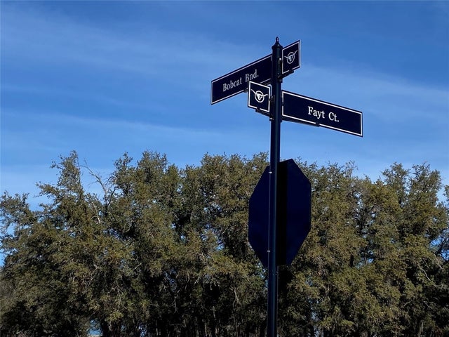 Tbd Fayt Court, Georgetown