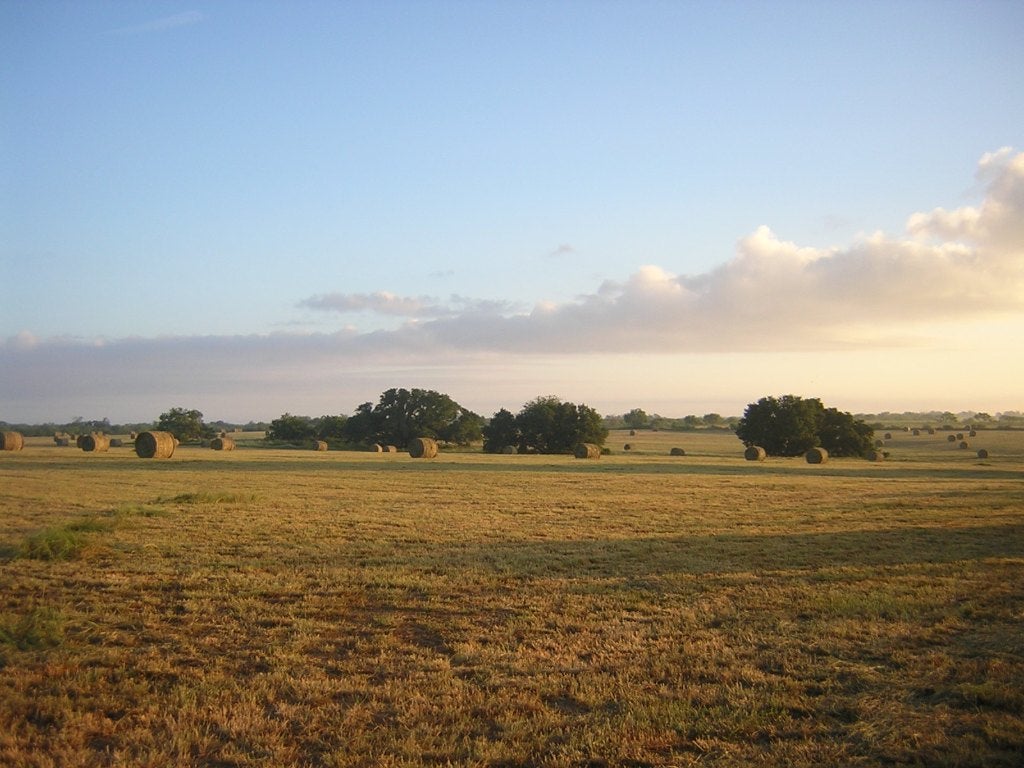 Photo of Listing #4158685