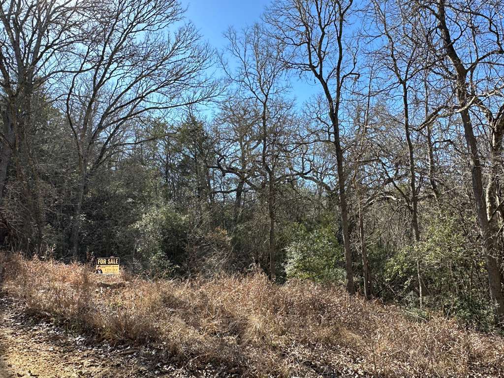 Photo of Listing #6283014