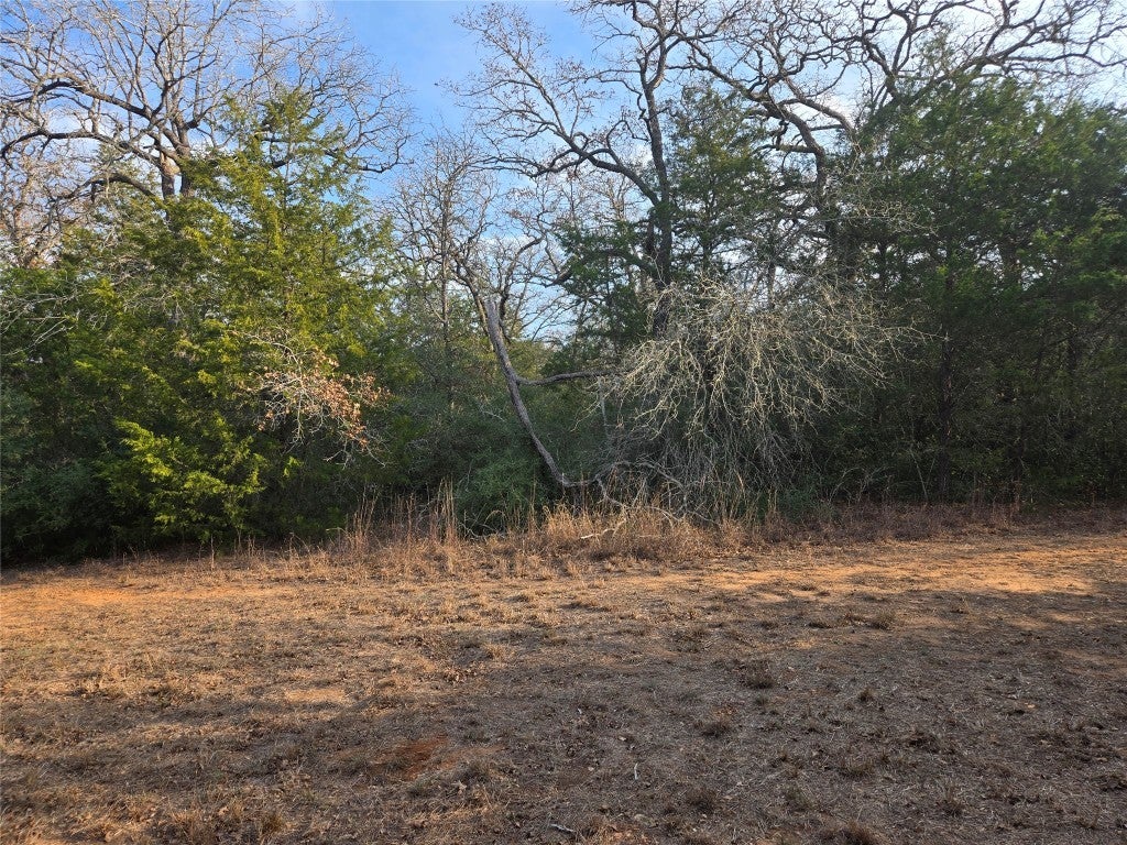 Photo of Listing #6302673