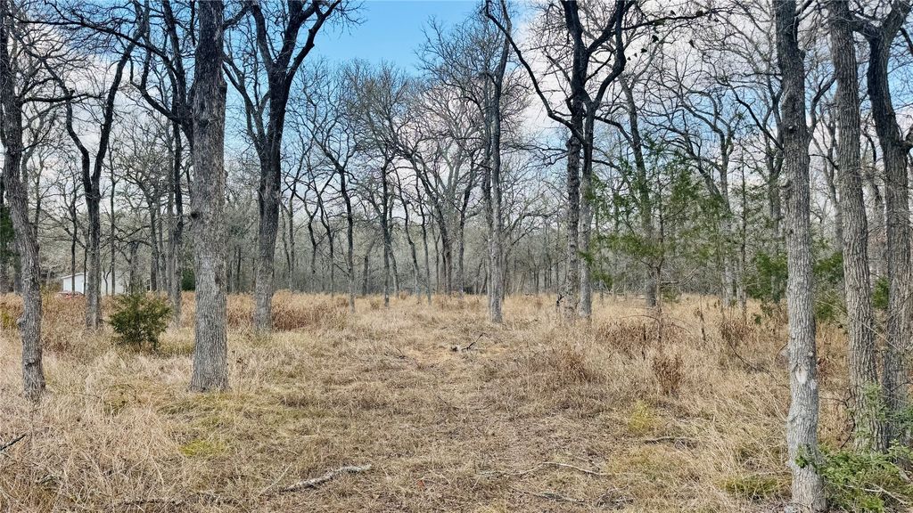 208 Sendero Boulevard, Cedar Creek