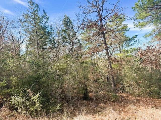 106 Olomana Court, Bastrop