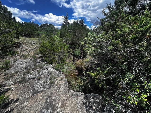 21114 Bertram Lane, Spicewood