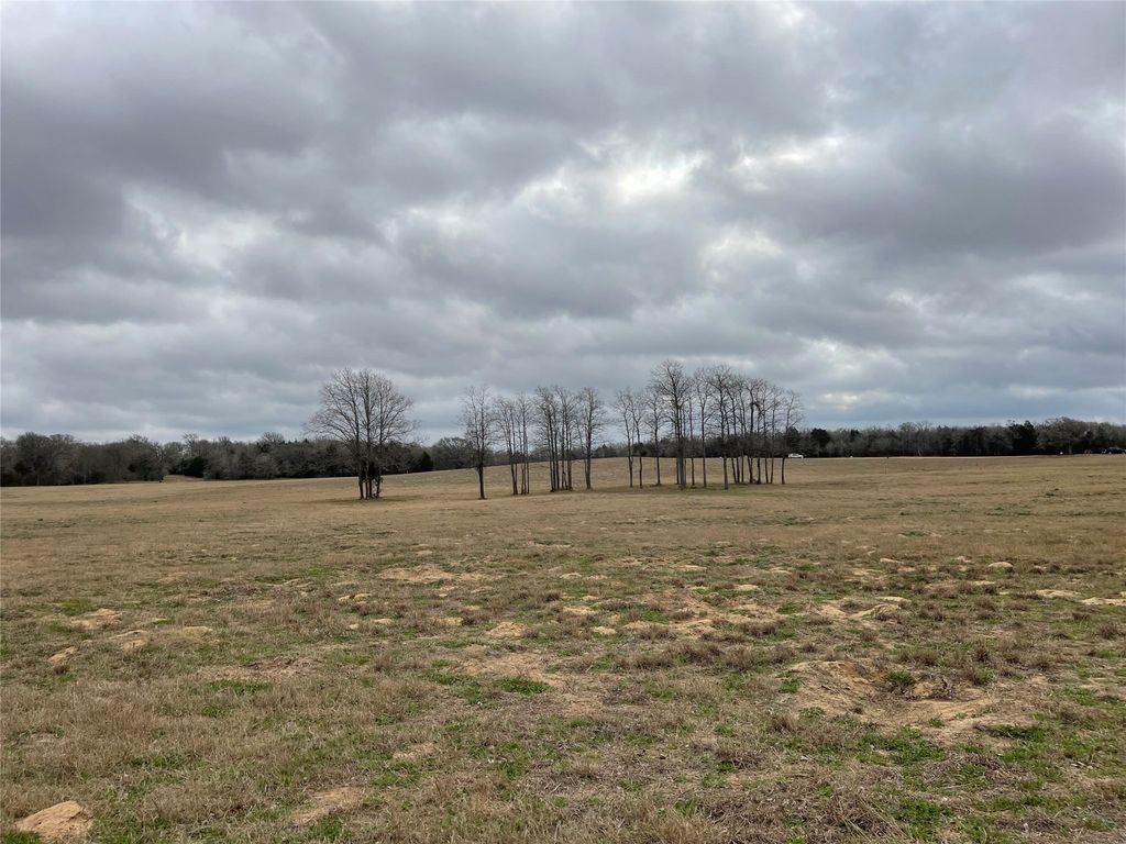 1498 Walleye Creek Lane, Lexington