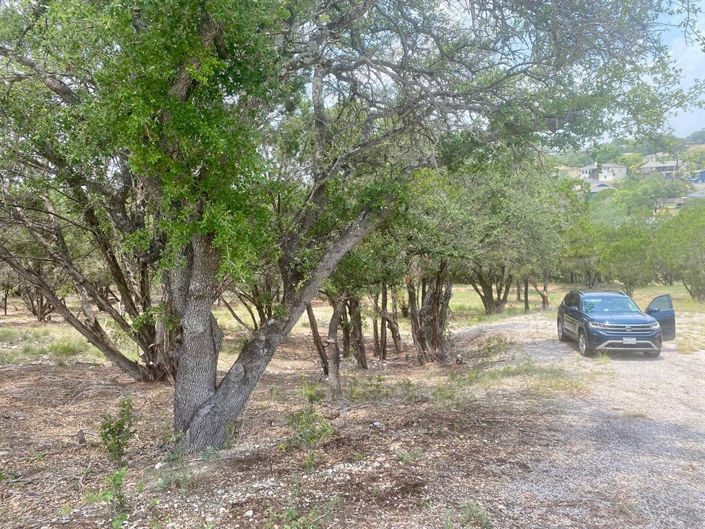 20101 Champlain Cove, Lago Vista