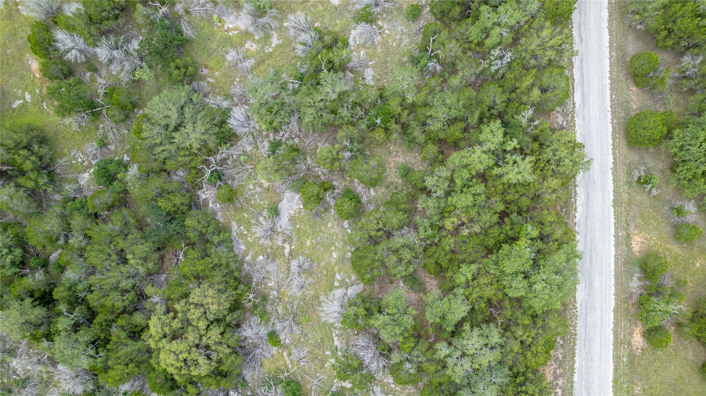 Photo of Listing #6566305