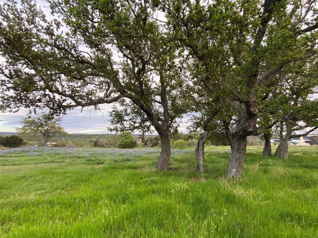 Photo of Listing #6440256