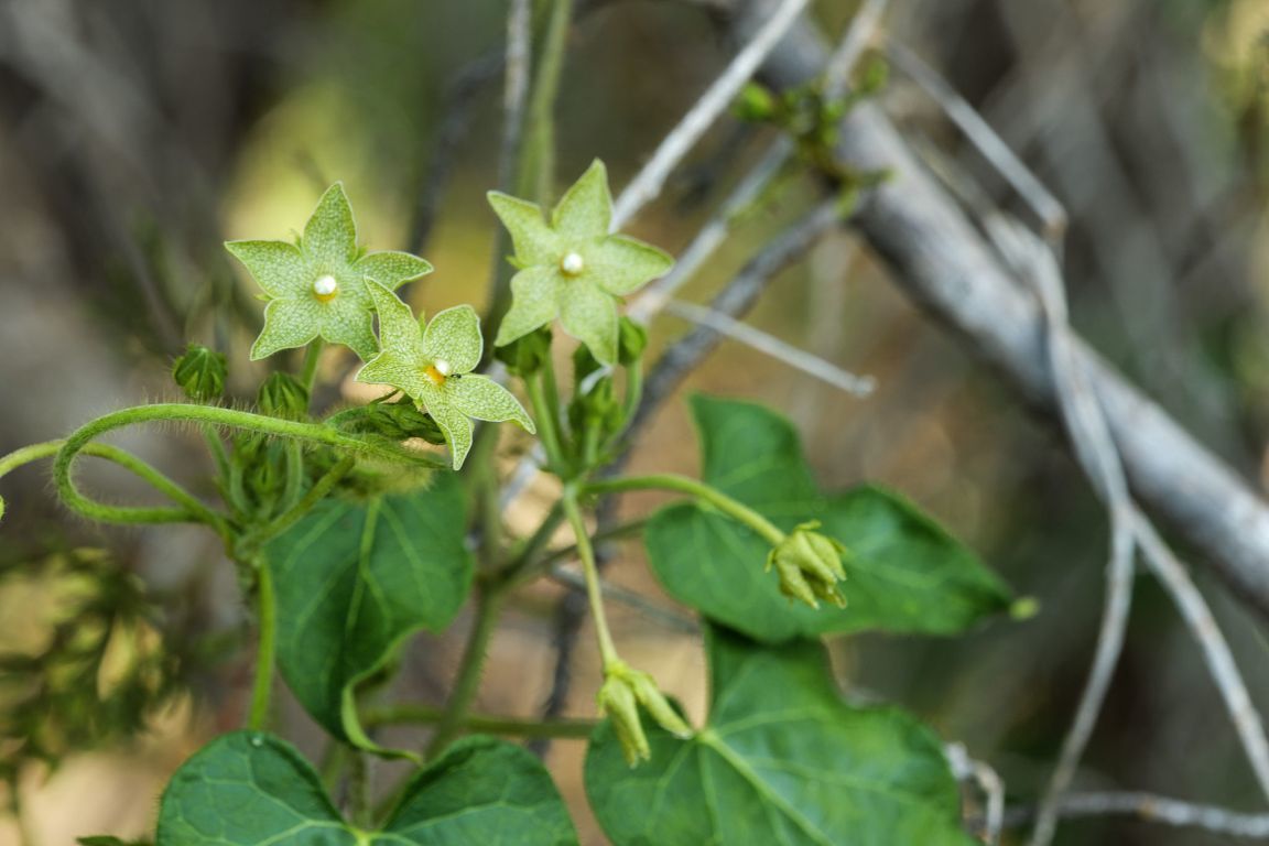 Photo of Listing #1901097