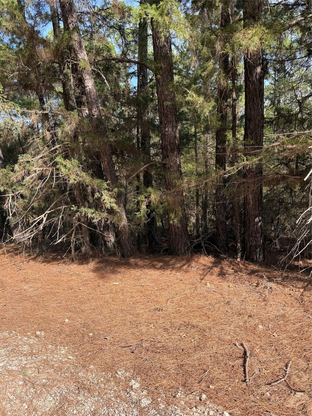 Lot 266 Wainee Drive, Bastrop