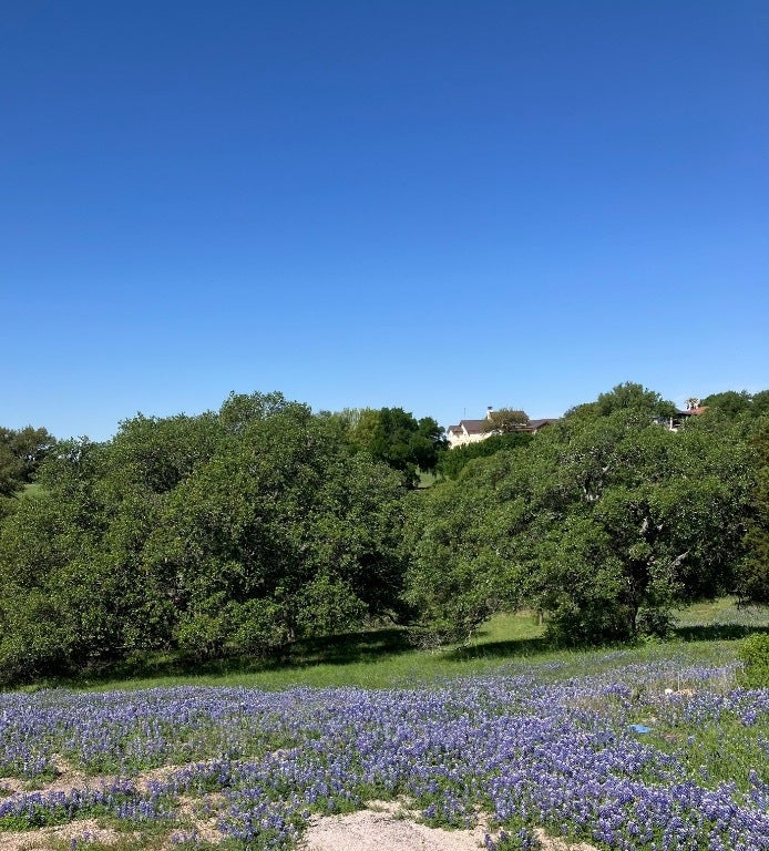 Photo of Listing #4611919