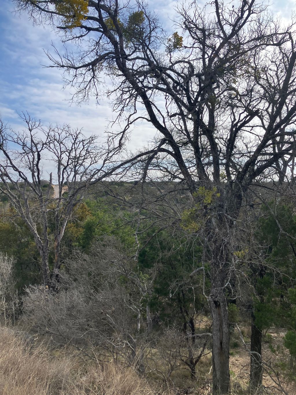 27125 Hi Mesa, Horseshoe Bay