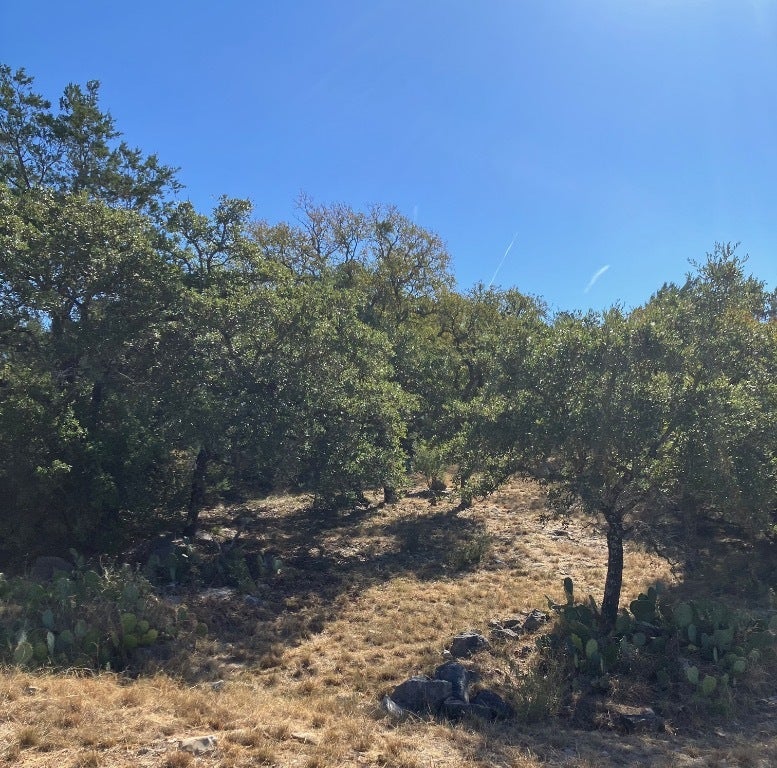 Photo of Listing #8824793