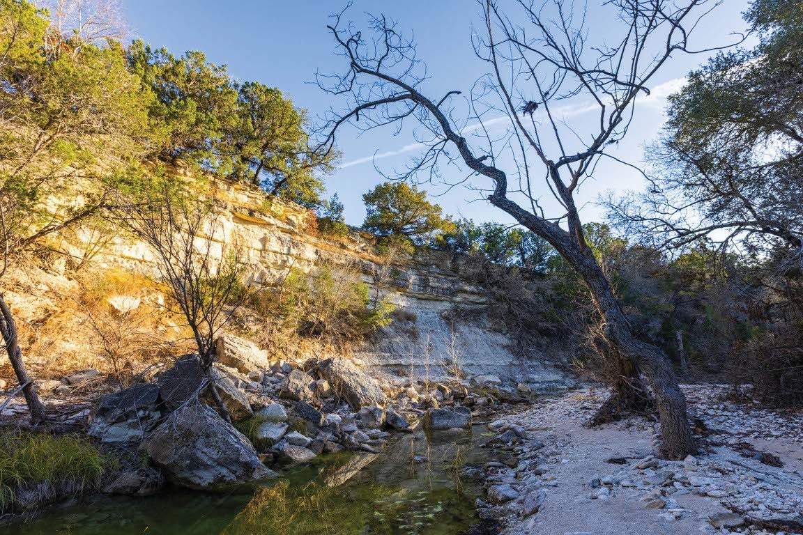 Photo of Listing #3921240