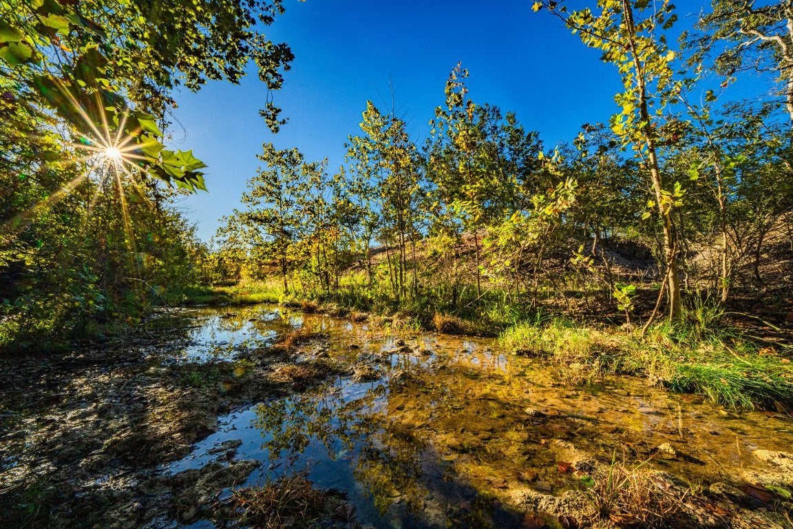 Photo of Listing #7620227