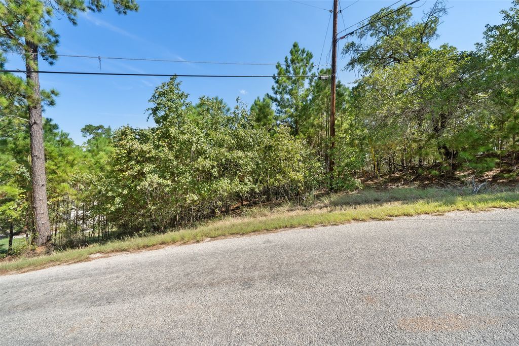 Tbd 847 Mamalu Drive, Bastrop