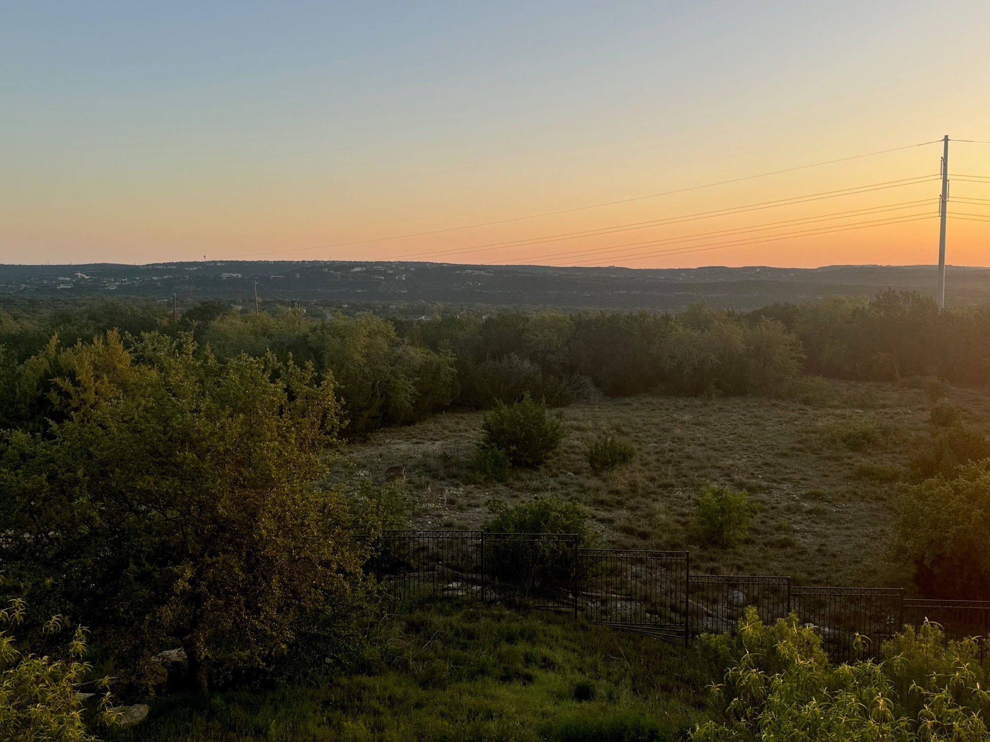 Photo of Listing #1775504