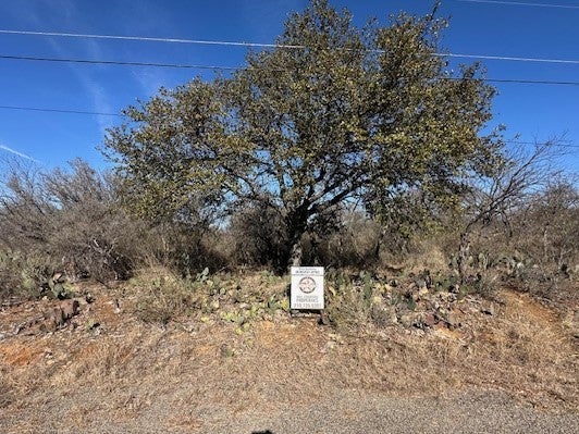 Photo of Listing #4920834