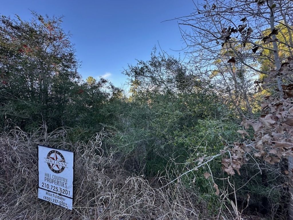 0 Tbd Kula Court, Bastrop