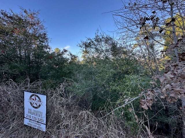 Photo of Listing #6929970