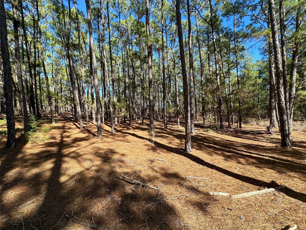 Lot 12 Hickory Ridge Drive, Bastrop