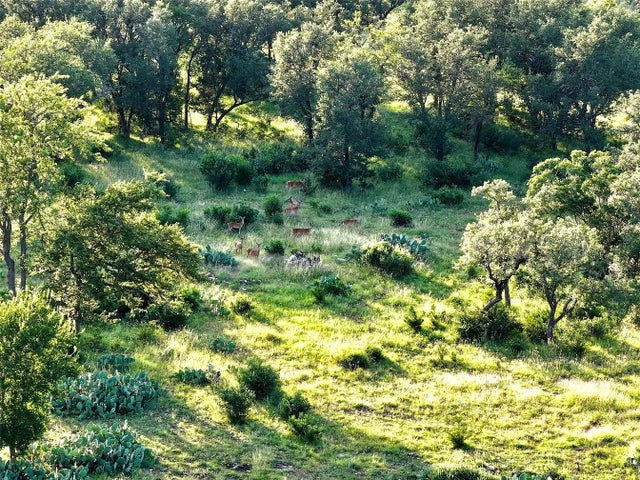 4 Tbd Cr 220, Briggs