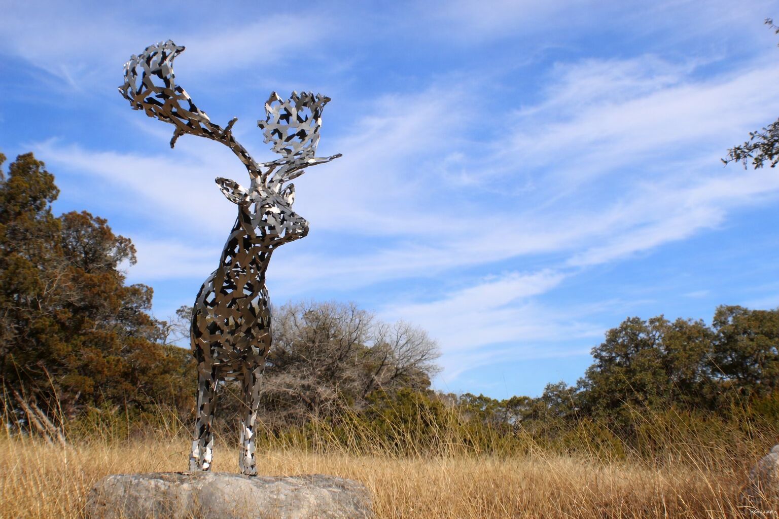 Photo of Listing #1386914