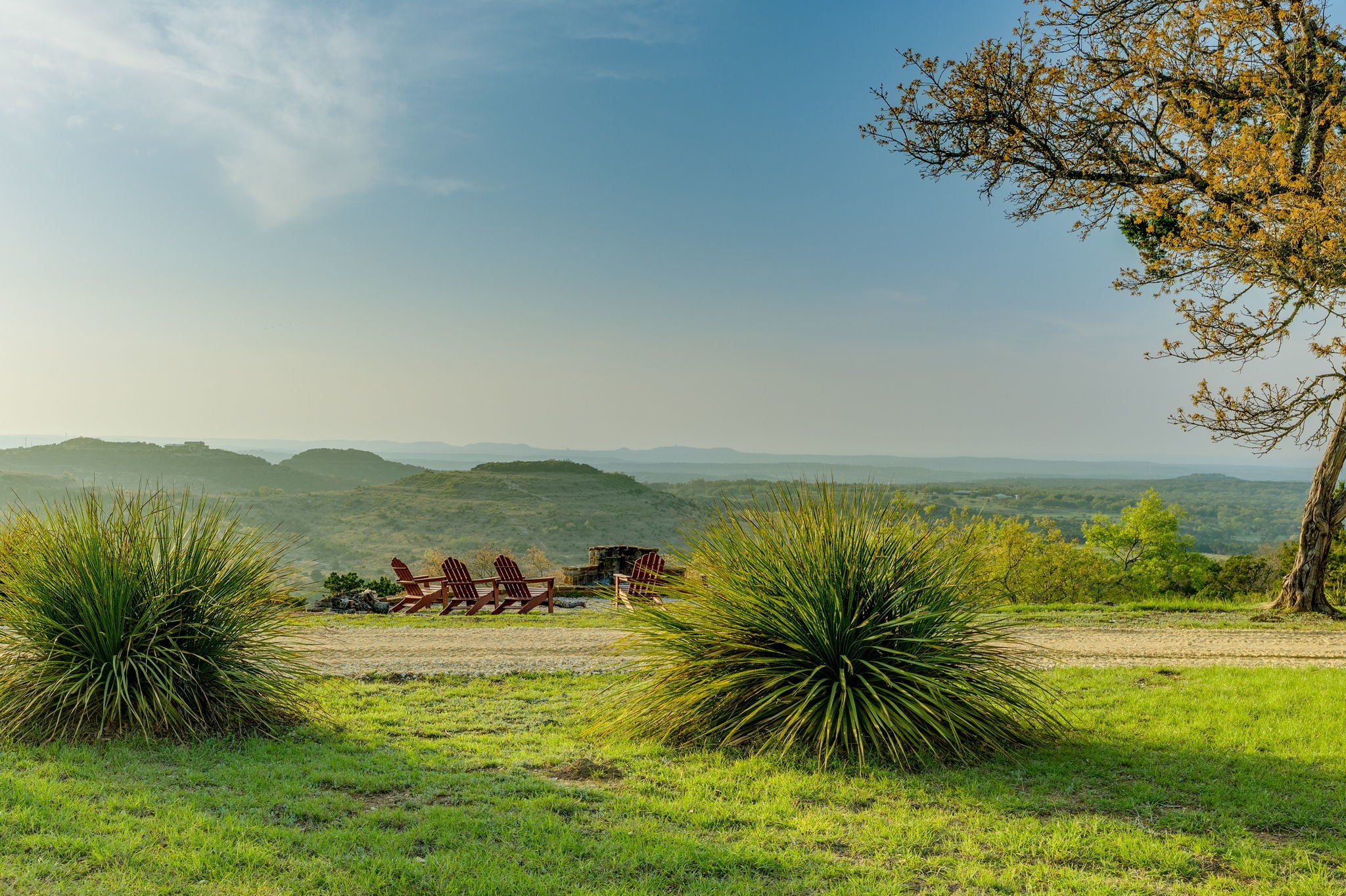 Photo of Listing #6118252