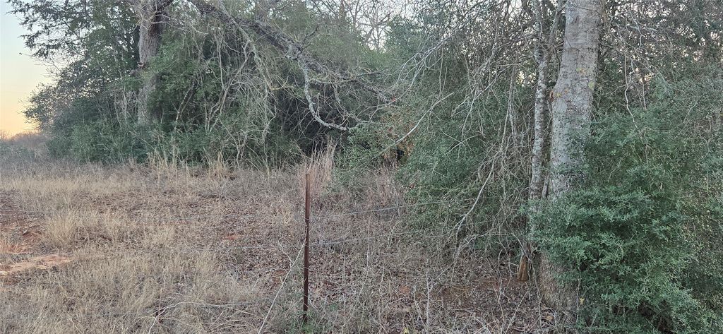 314 County Road Lot 8 Tbd Road, Rockdale