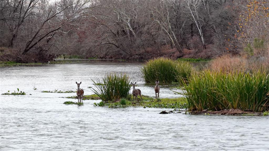 Photo of Listing #1657369