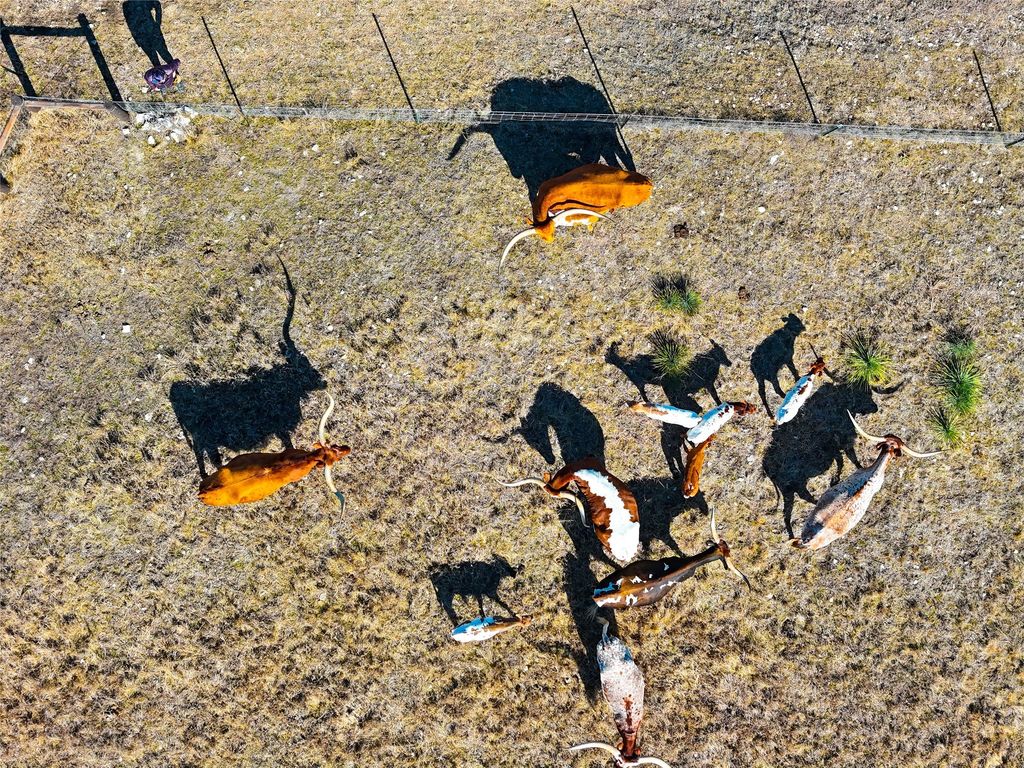 Tbd Lipan Apache Run, Blanco