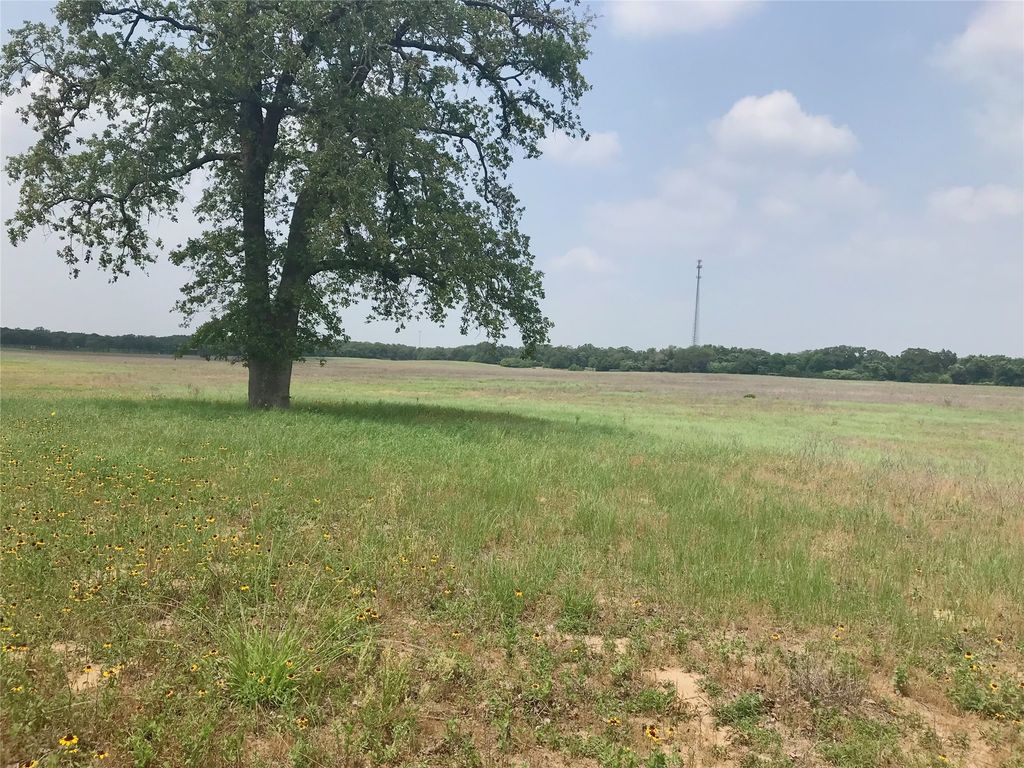 1672 Sayers Road Tract 1, Bastrop