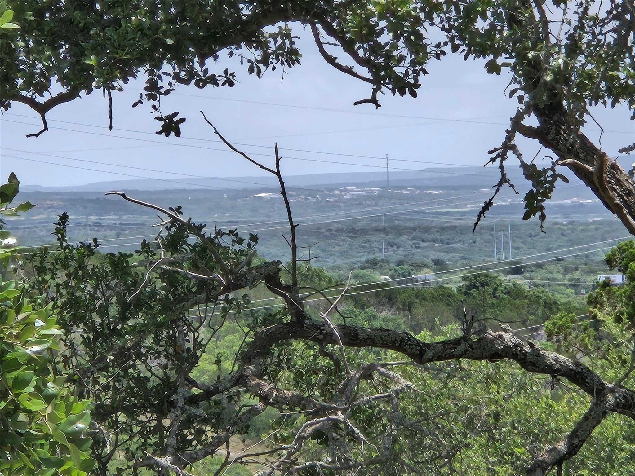 Photo of Listing #7470503