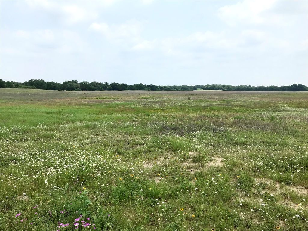 1672 Sayers Tract 2 Road, Bastrop