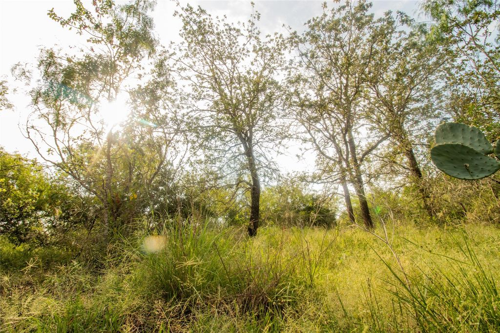 6562 Cross Road, Seguin