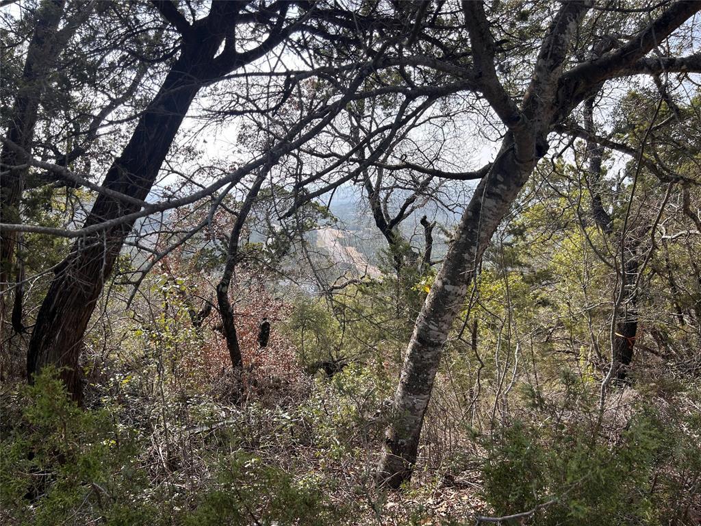 Photo of Listing #8622261