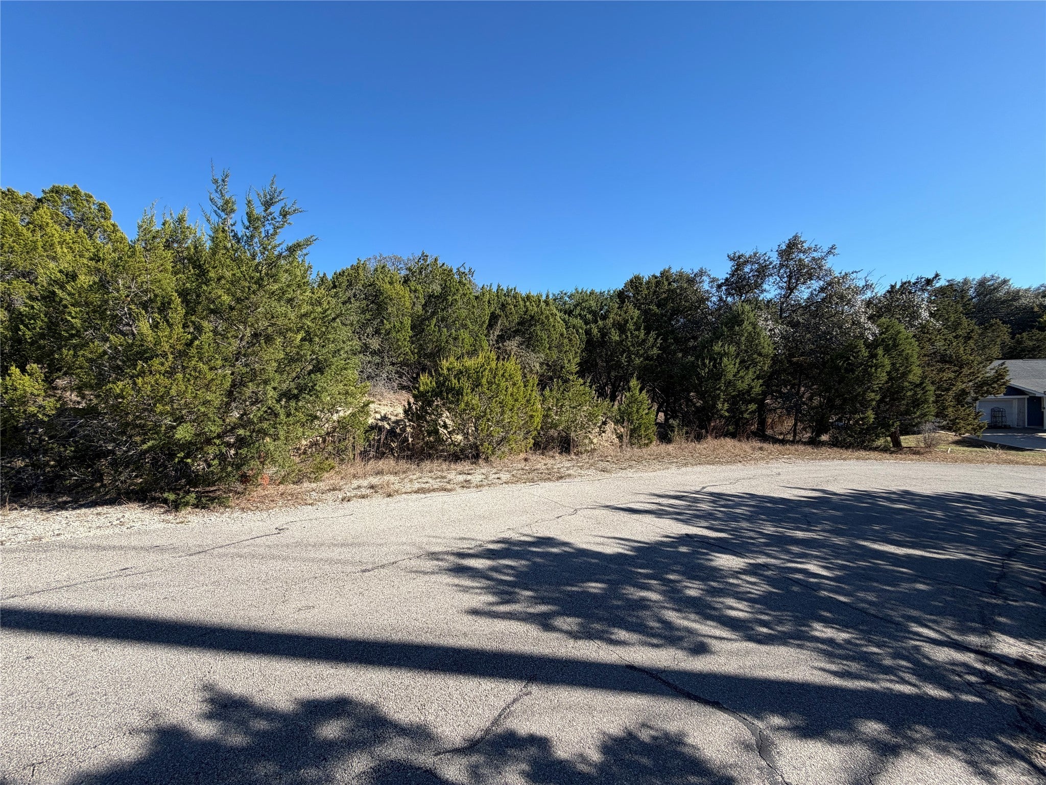 Photo of Listing #7649668