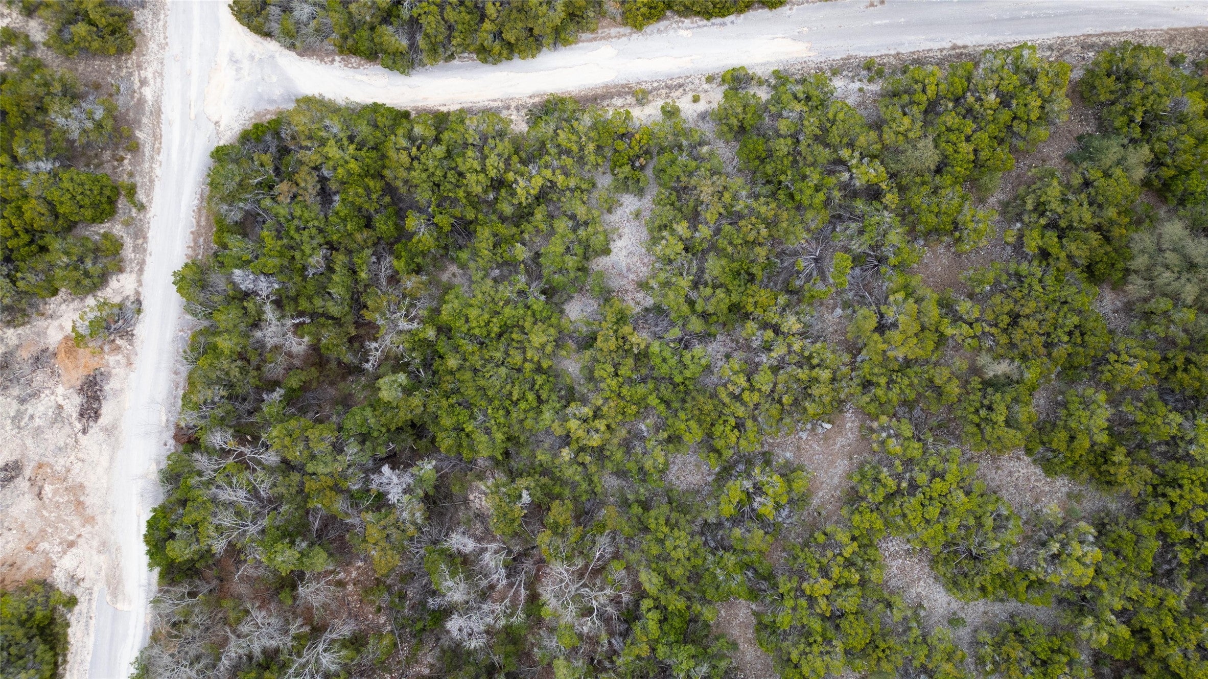 Photo of Listing #7969121